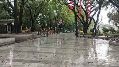 公园雨天树木自然风光视频的预览图